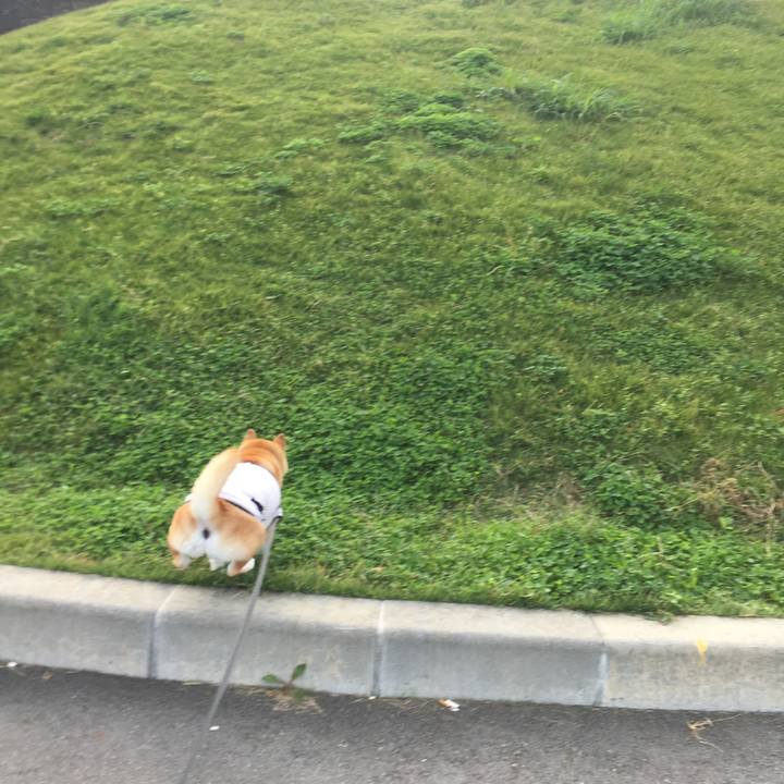 2a485aa4 1e88 4034 becd f0341613b805 1539913184642