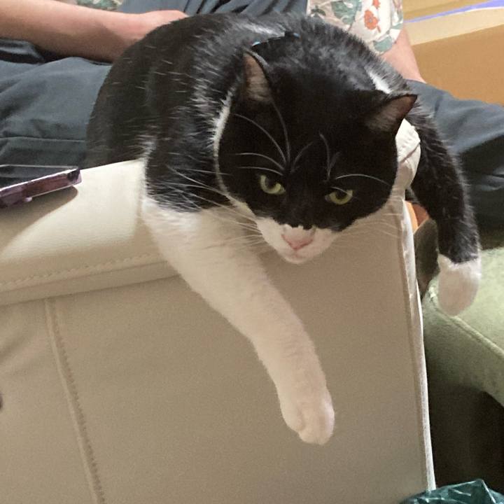 2a488e7a 3f4a 41ec a151 86953e1245da 1751782792633