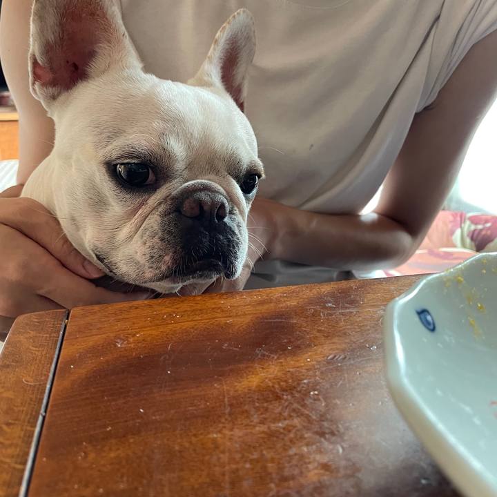 2a489f65 b772 492a 9434 d75beb91104a 1727592317040