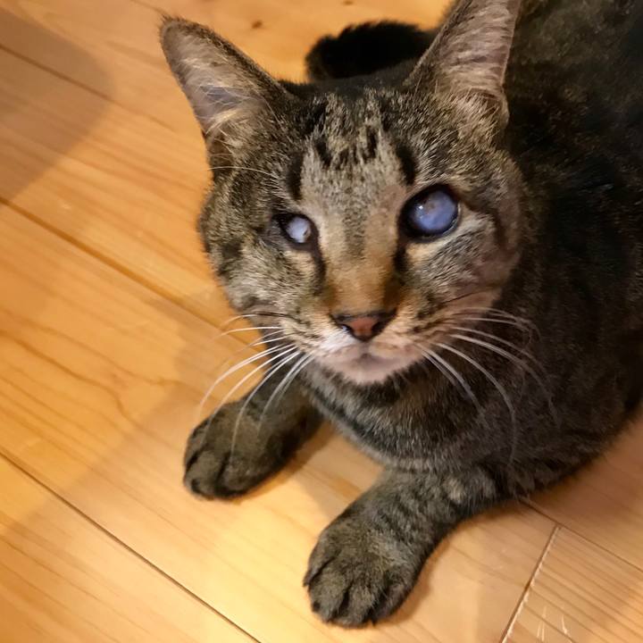 2a48d680 b5dc 41aa aac3 70047ae240b6 1550301779277