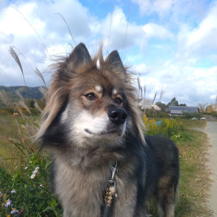 2a48d8d3 788a 4cf0 9d48 2c635eac2a1d 1604043921132