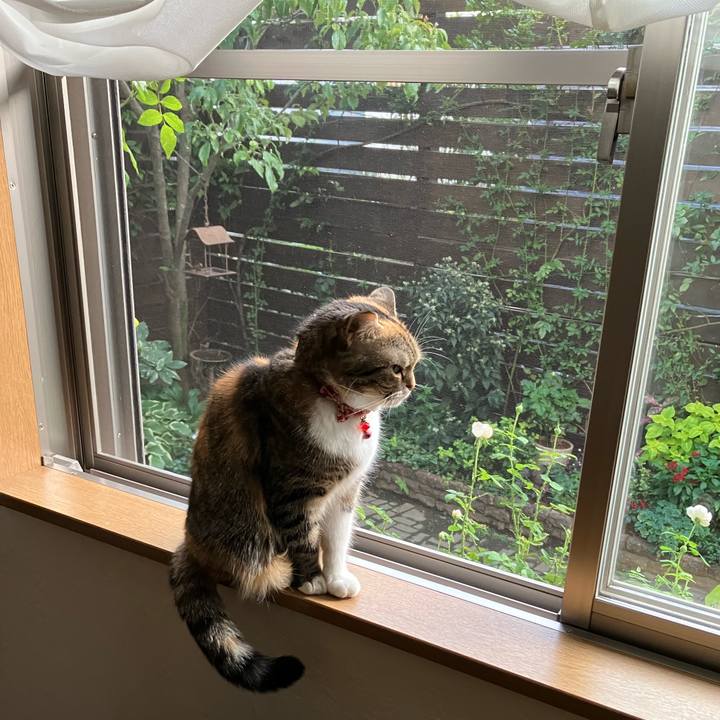 2a48f191 85ef 48e7 9c00 29ce73a547f8 1759400367632