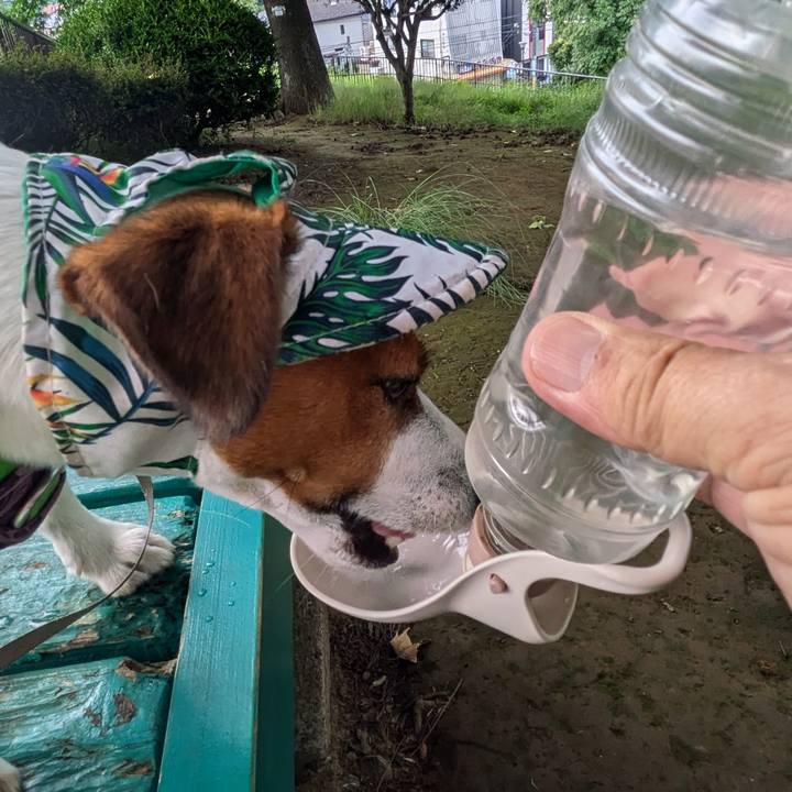 2a48fca7 1fdc 41fd b963 460a74110473 1724208029974