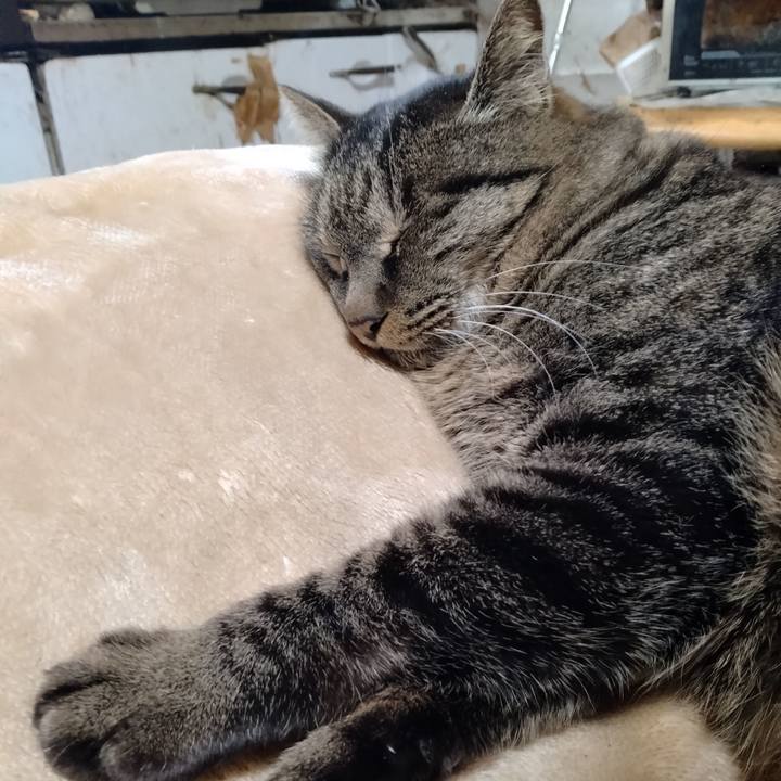 2a4983f0 f088 4e20 b3eb 01be927361f0 1704680595506