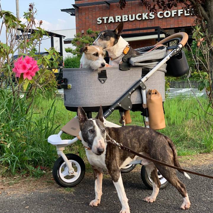 2a49f7e8 bc27 4499 ba05 4a0a7372ebf3 1620558139004