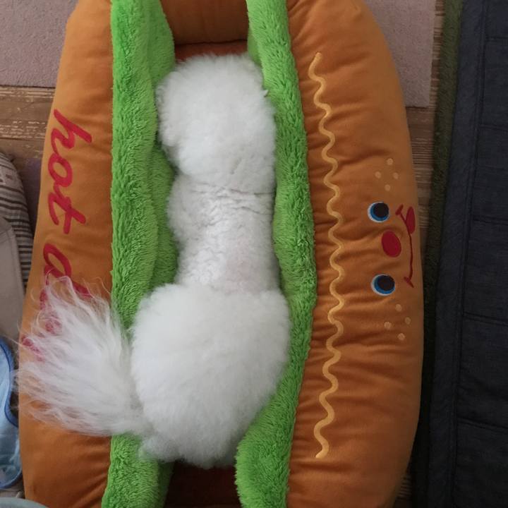 2a4a3ffd e869 4e4f a2dc 7dd44bf8a762 1533285688271