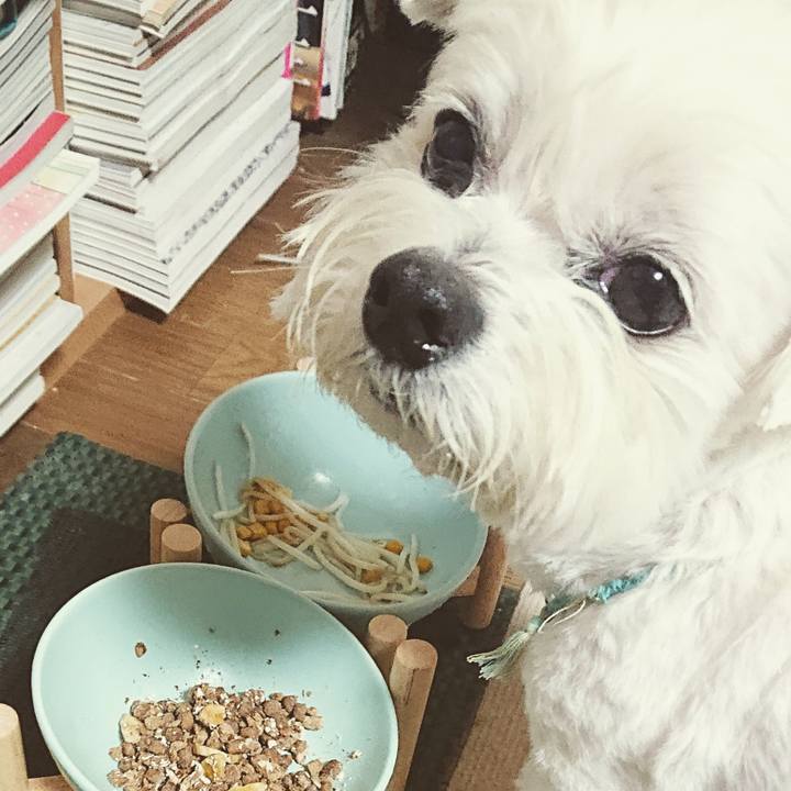 2a4ad73d 1cc9 4d25 8df8 880315e53395 1644659865611