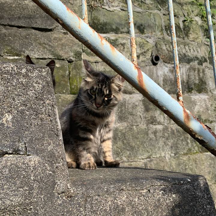 2a4ae7e3 94fe 4961 8fca 666c3680ce31 1622286455479