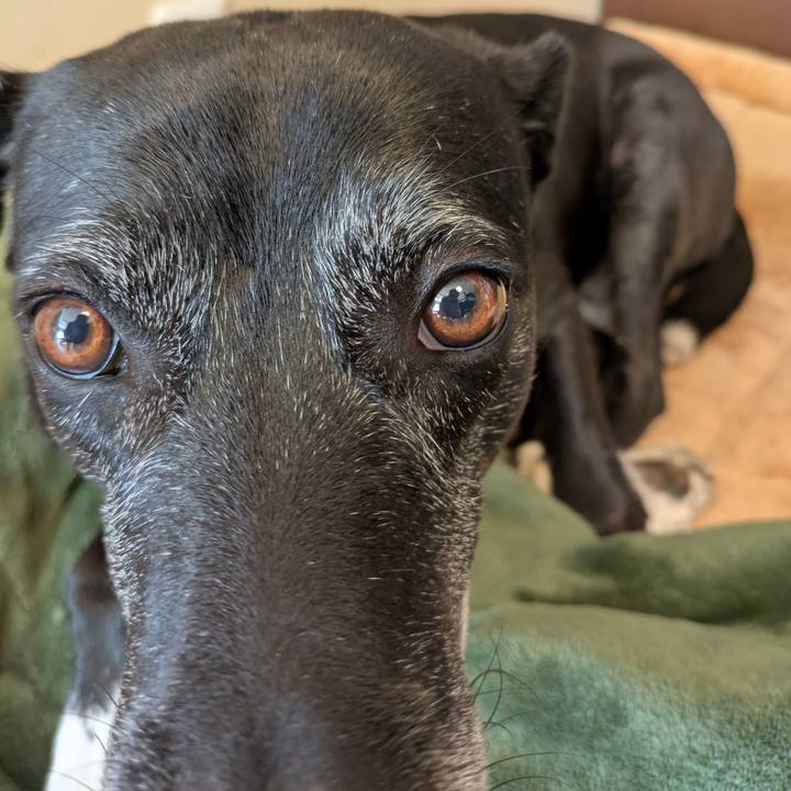 2a4af606 ee10 4414 8f4e 60a8280f854f 1764910792497