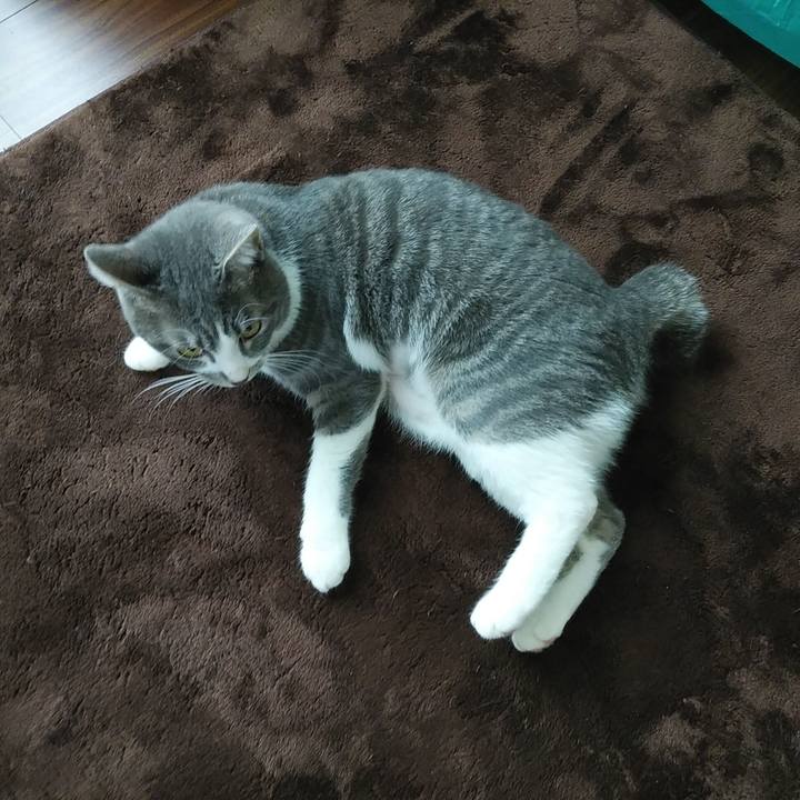 2a4af624 ca94 4ee8 8900 682815e1efa2 1585523536515