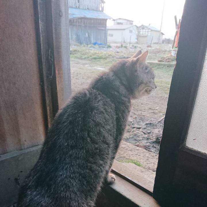 2a4b20f9 e7da 4673 bda4 d65fb6b290d7 1582926804712