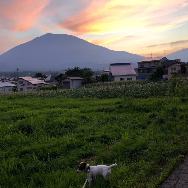 2a4b5426 522f 4e5f bd8e 51c8666e3e82 1531742105088