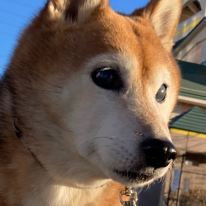 2a4baa97 45ff 49e2 944b b1892e8952bf 1736758758008