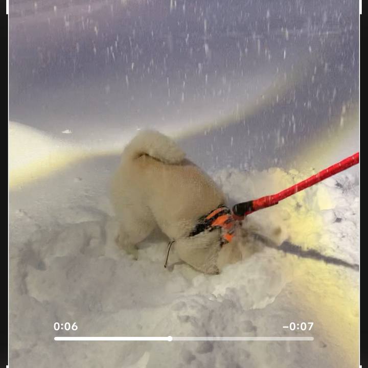 2a4c17f4 21f7 4cd8 a285 ead16cf8918b 1673303585850