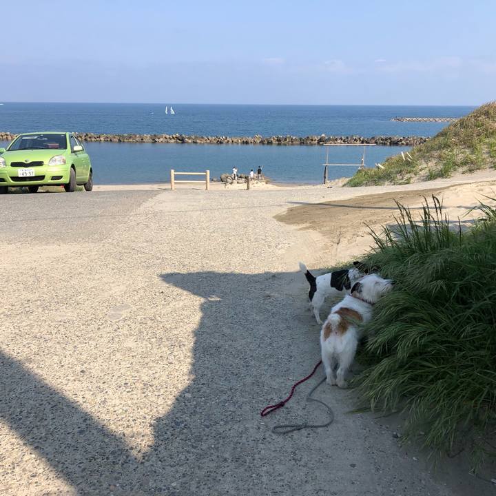 2a4c377d 3fc3 4faa 8e91 9d4693dd61eb 1557623165302