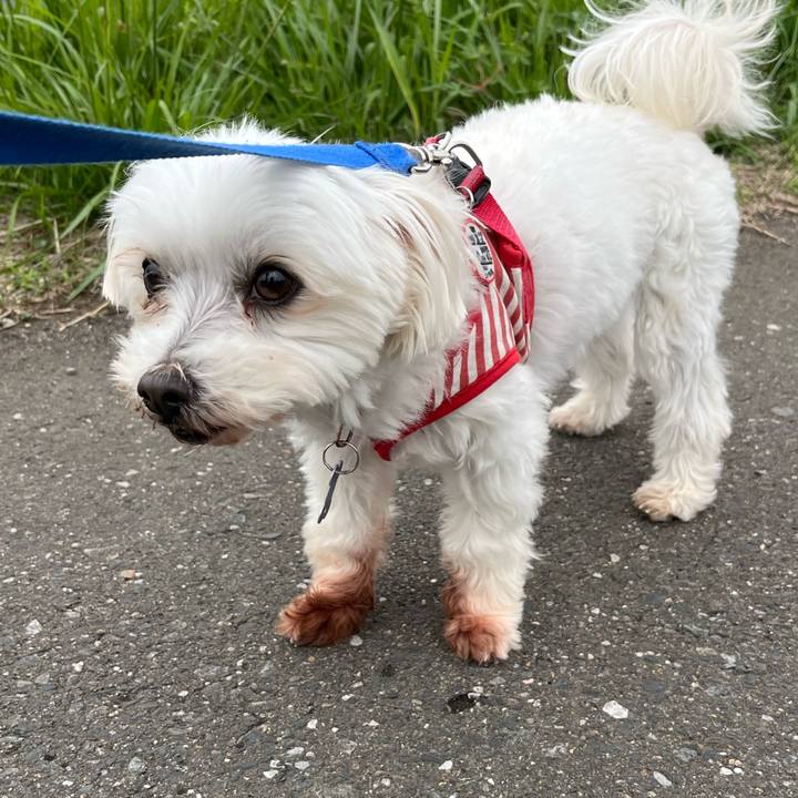 2a4c55f4 e800 44c0 8d25 4f2ec8ed1994 1651367685736