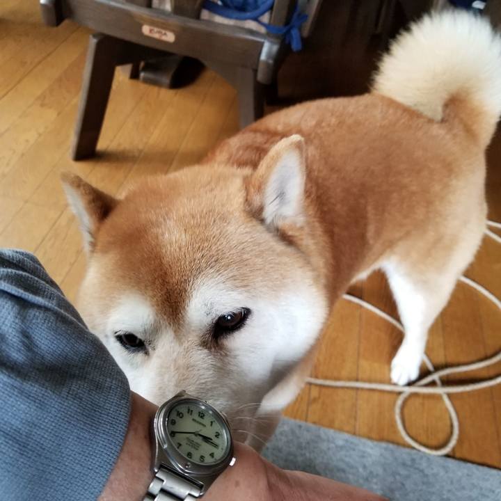 2a4c839f c6ad 4f93 91cc 2416bcdd943f 1589780403083