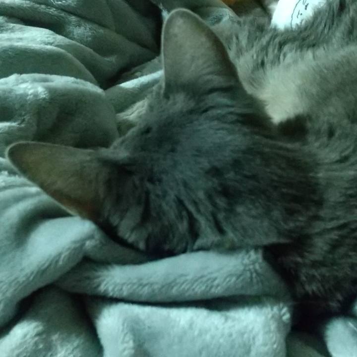 2a4ca90c a222 4af3 8aa5 41873c42614d 1698094629362