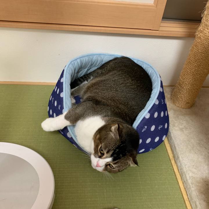 2a4ce597 caad 4116 902f 07e579143890 1571207930327