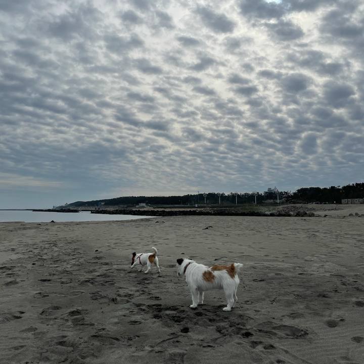 2a4ce698 c951 4c30 b8b3 ad2fb11fac8d 1620948921087