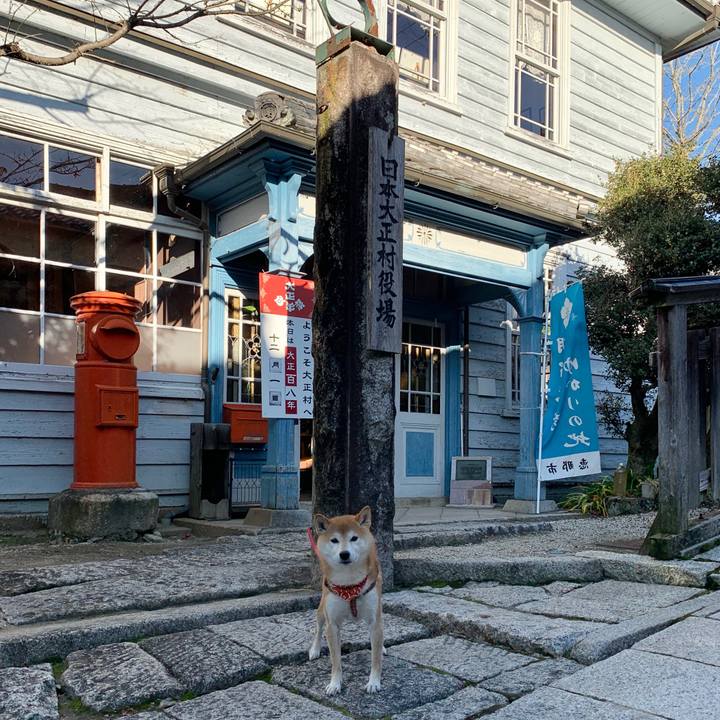 2a4d0397 d9b7 4fef 81cb 2938d24f339b 1575191140753