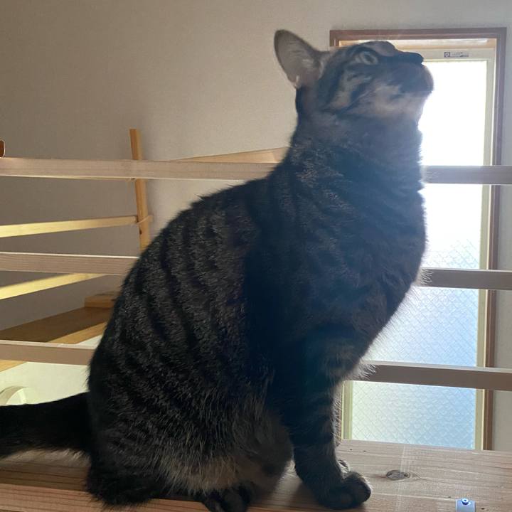 2a4d0b57 f24f 4fab a269 38516aecf71f 1666483812612