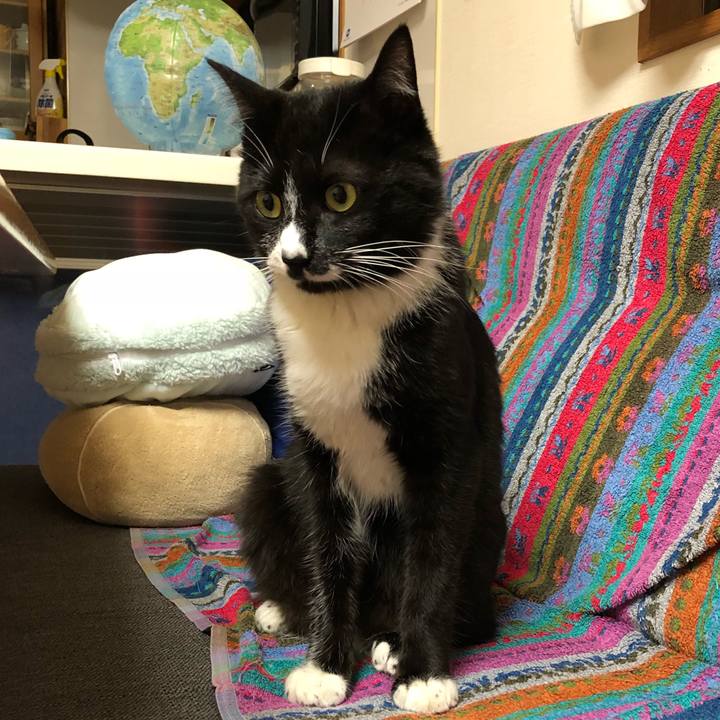 2a4d27b8 5a5f 44c2 ab21 bf2e72f0ef6d 1526960689680