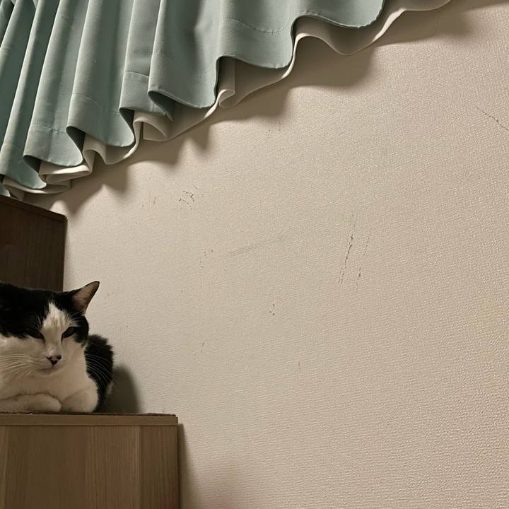 2a4d31f3 3c65 4641 931e 329b79f003e1 1680454327023