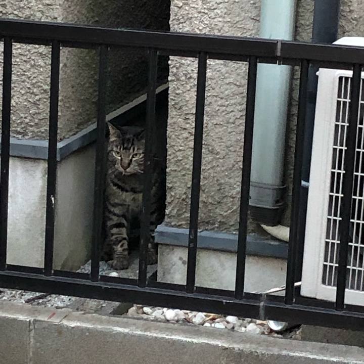 2a4d3a24 40bc 4c4d 8037 6a4fd3cad4fb 1552944569263