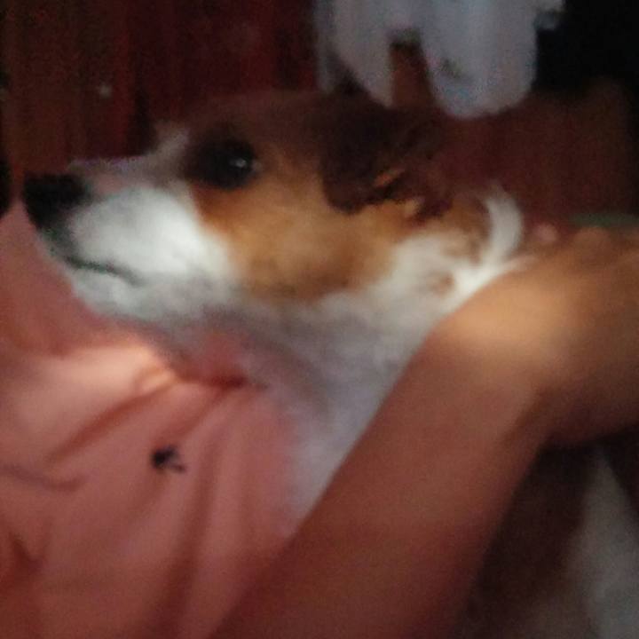 2a4d3d1f 190c 42fd aa3e 19baa2993ea4 1537652425318