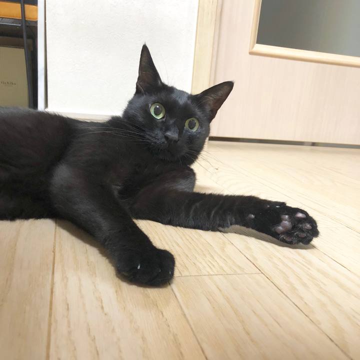 2a4d549f 5cf6 40a6 a793 ea5313c41bfd 1593437318186