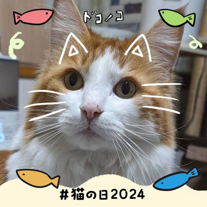 2a4d5e17 1a90 4ab8 8547 db3f32c53f58 1708562587751