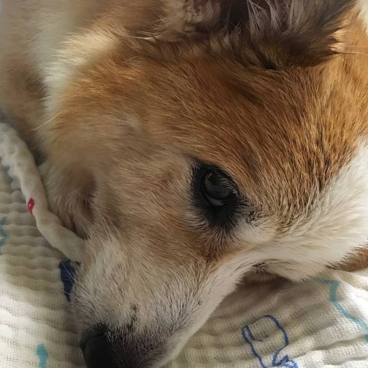 2a4d6430 f78a 4227 b586 cbfb1235efc1 1568988264291