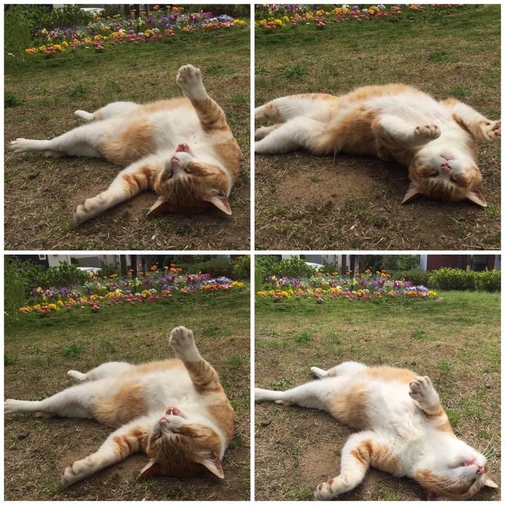 2a4dabfd 45ed 4cd1 9ccf 669e2561030b 1586245487908