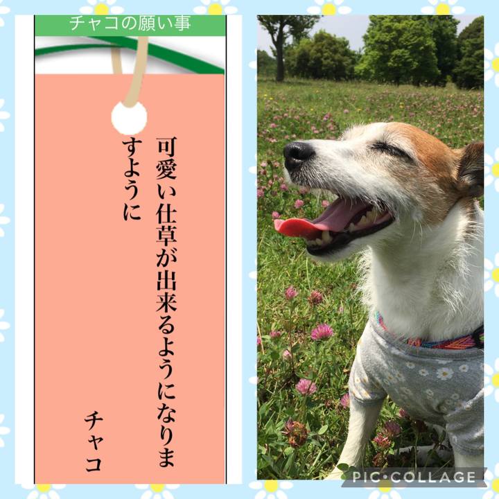 2a4dc32c 9b2c 4181 b39b a51775f33a41 1657149920646