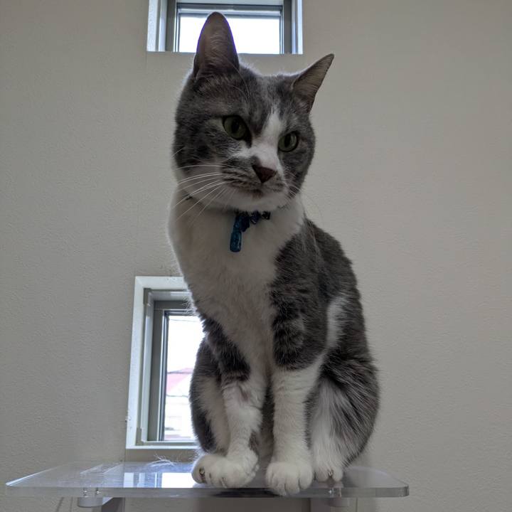 2a4e1b94 8ed2 4933 a31f 06118b6e8cc8 1772098500933