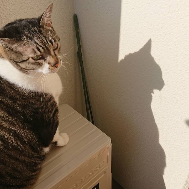 2a4e43ea d6f1 4119 bc90 fa8681077ec3 1570593656638