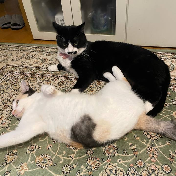 2a4eae85 b5dc 49a1 9432 f318ac7b39da 1753701638434