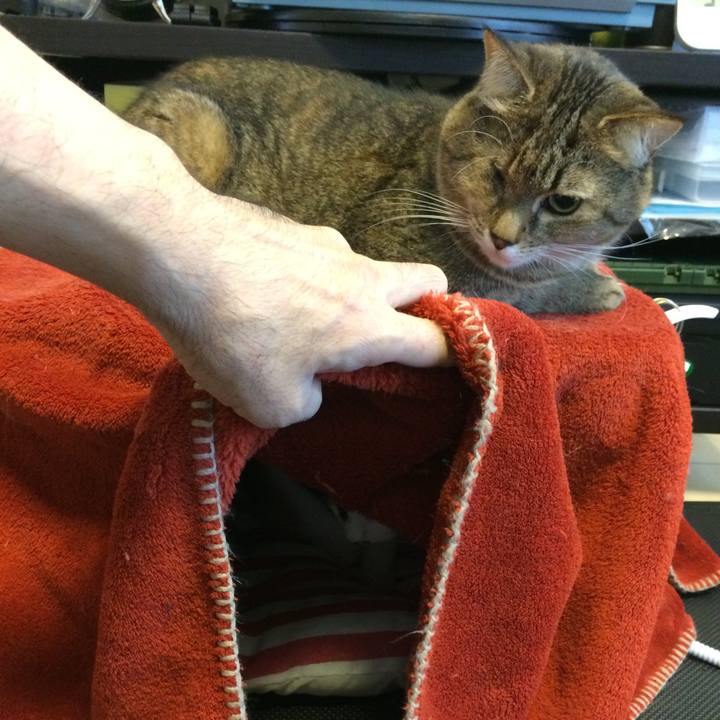 2a4ecb70 eaba 488b 8782 31590cf677a0 1544741765592