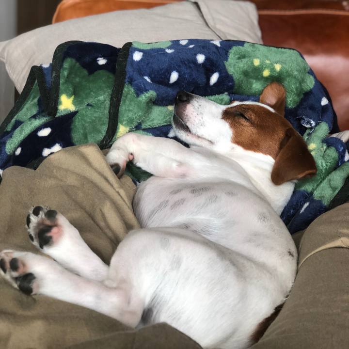 2a4efe08 2e23 41a1 aa57 52b6a65d411b 1561367071989