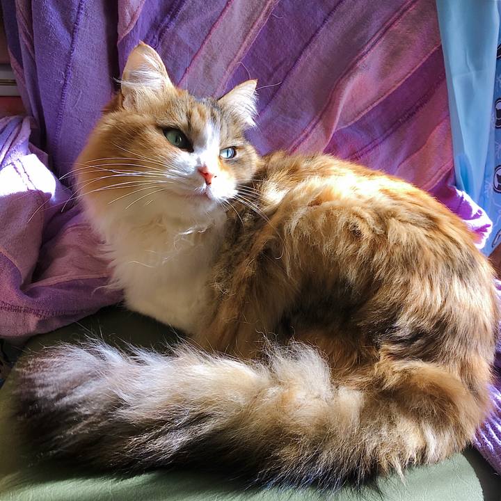 2a4f5c7e 5298 4f8e 8d12 4d8ccd3af42c 1615095564406