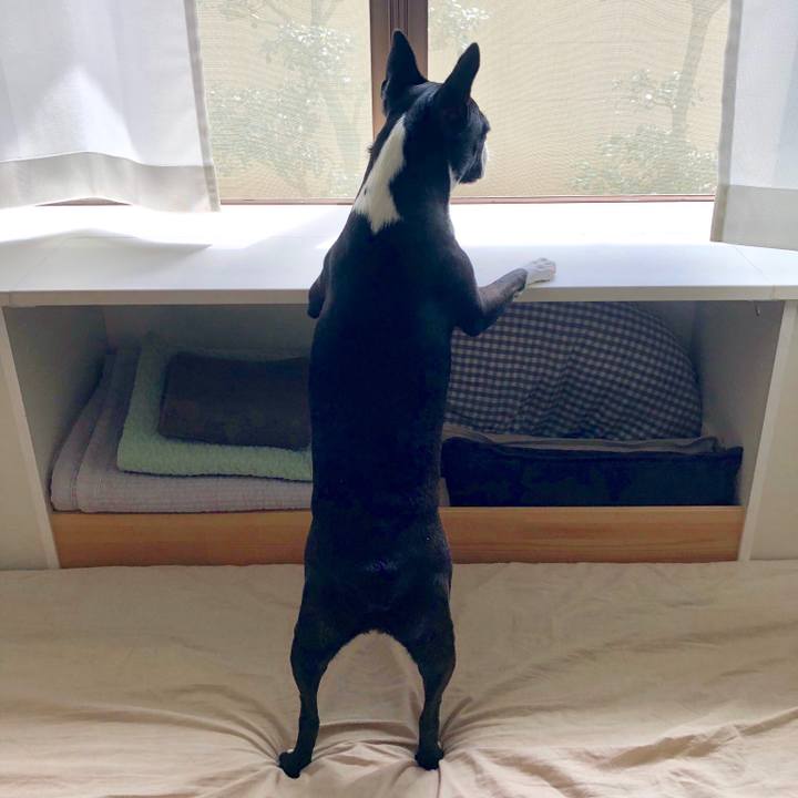 2a4f67de 8435 4e5d b115 fb9221fca437 1533694545230