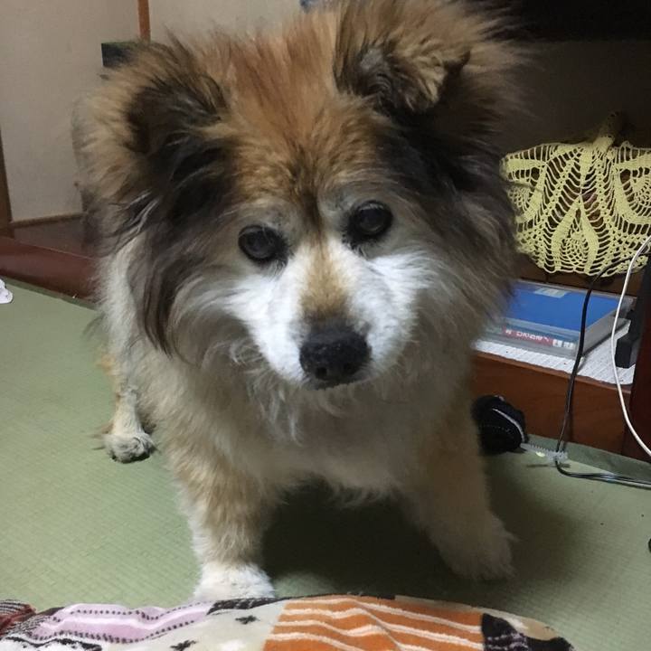 2a4fbc27 0b50 44f5 aee4 ed2d0b84b798 1553859103979