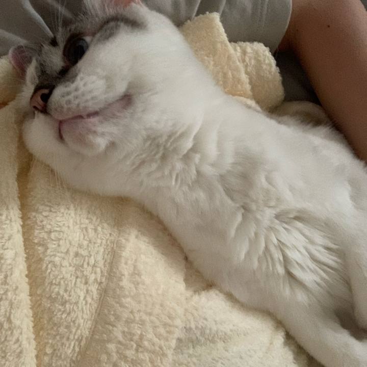 2a4fe009 820d 4b28 8b46 1c2119c348e5 1628292254222