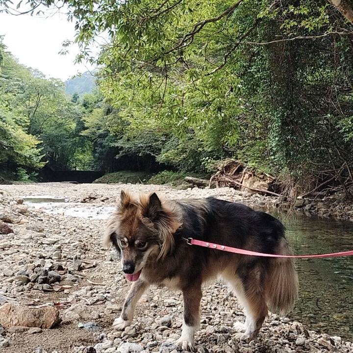 2a4ff4b9 b451 4d0d b114 f81adfbd7be8 1664001510753