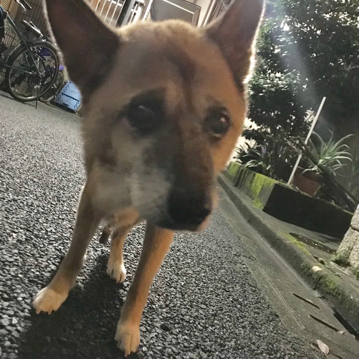 2a50220c 43f3 4dd0 81c2 dd45b4cc351a 1537619403469