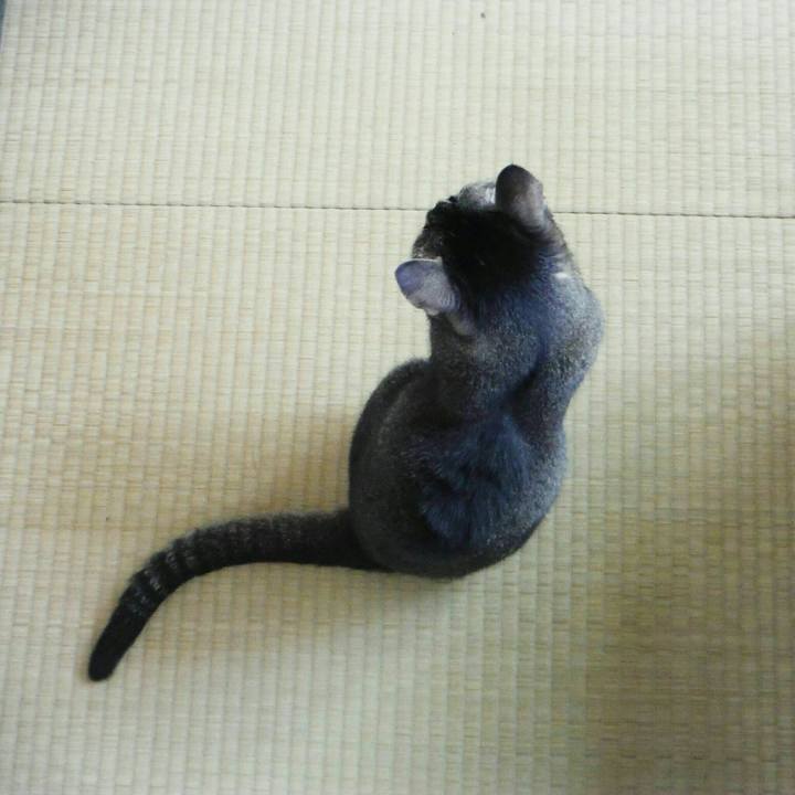 2a5045f2 8f57 427e 9b00 c5a0ec8e43a3 1563930960909