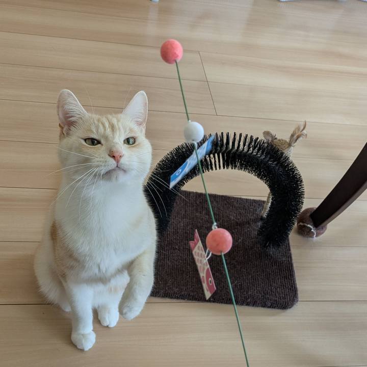 2a505a0a ec48 460e 9f64 43448c2d47c4 1745472797998