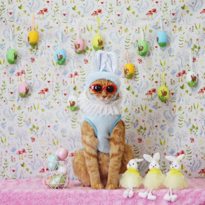 2a5060cf 7778 4b06 aa8e b13b17c9c092 1680659176054