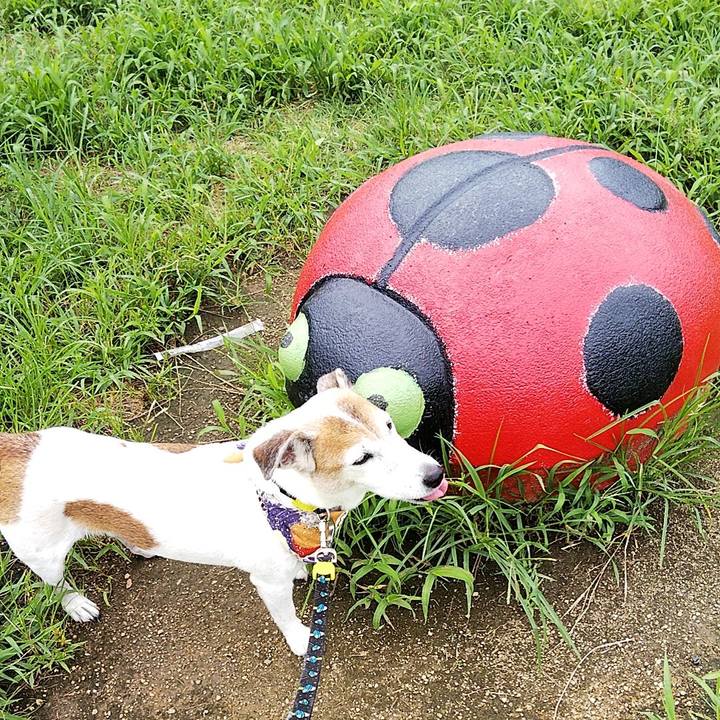 2a5094b9 f6b0 41ed 8d4b 535add646f6e 1567234689503